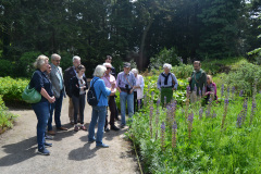 2019-05-31-BoSa-Stiftungsfest-2019-Botanischer-Garten-DSC_2581